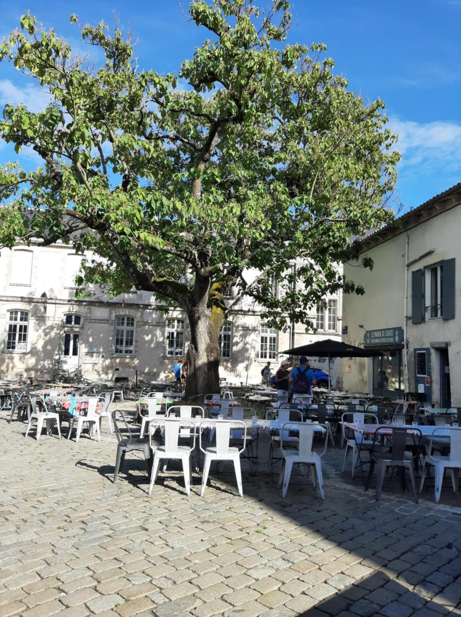 Apartamento Comtesse La Rochelle  Exterior foto